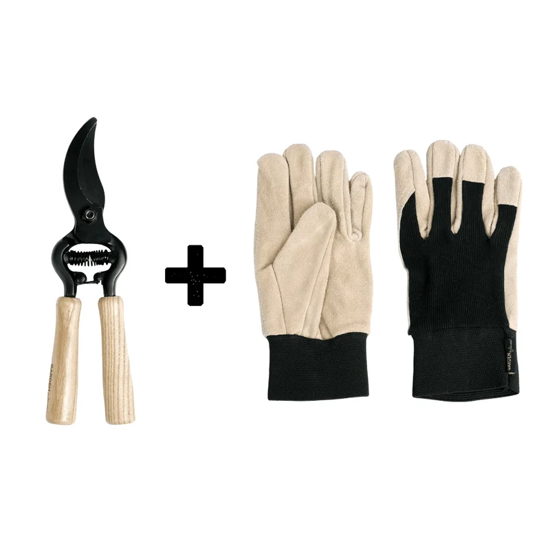 Trim & Touch Deluxe