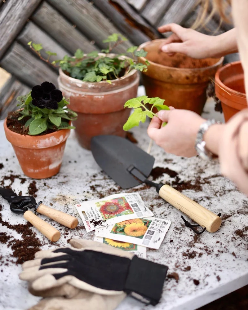 Planting kit Deluxe