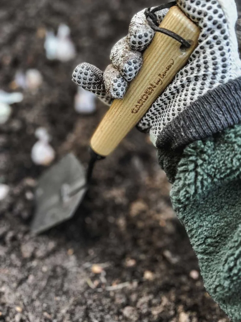 Planting kit Deluxe