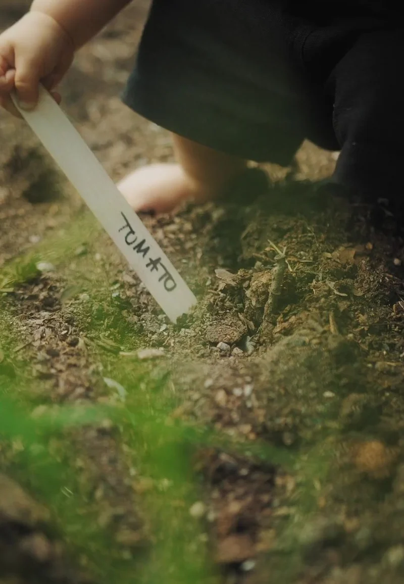 Planting kit Deluxe