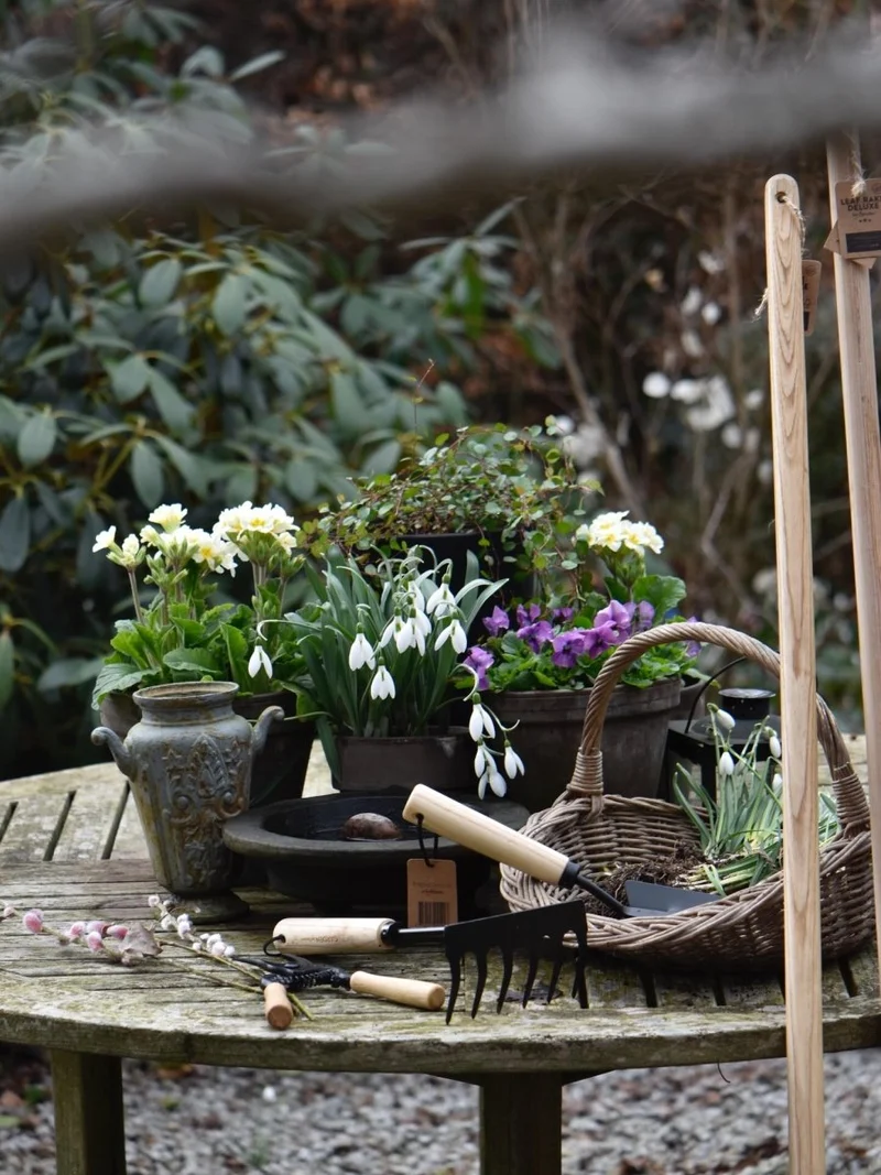 Hand tool Rake