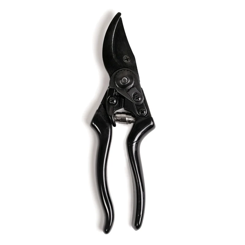 Secateur Basic