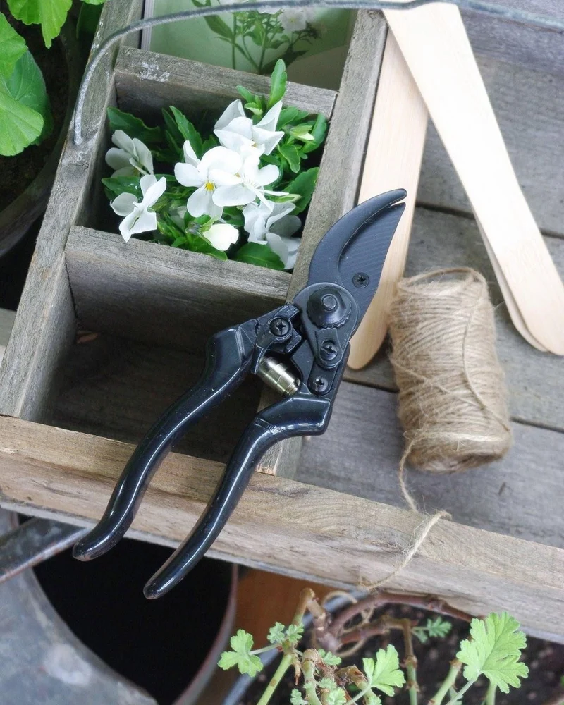 Secateur Basic