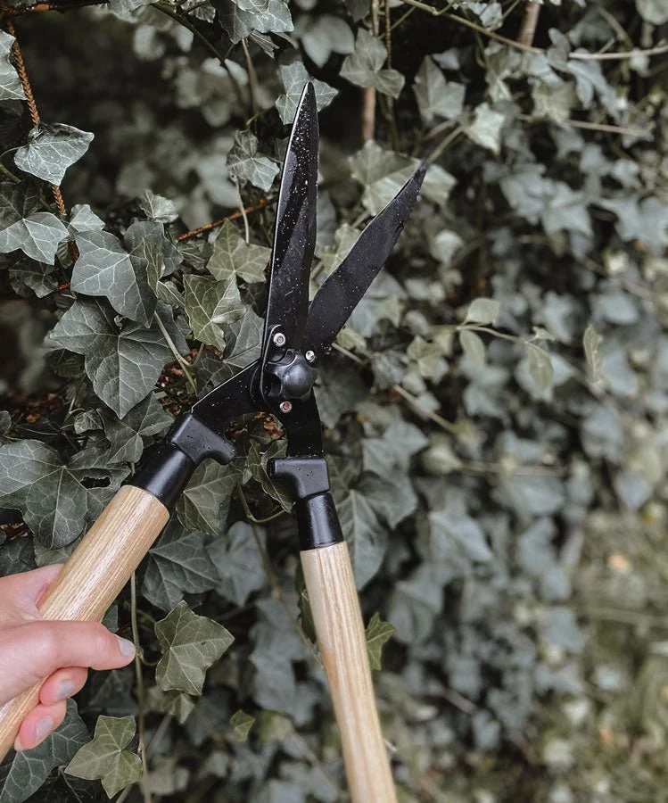 Pruning Set Deluxe