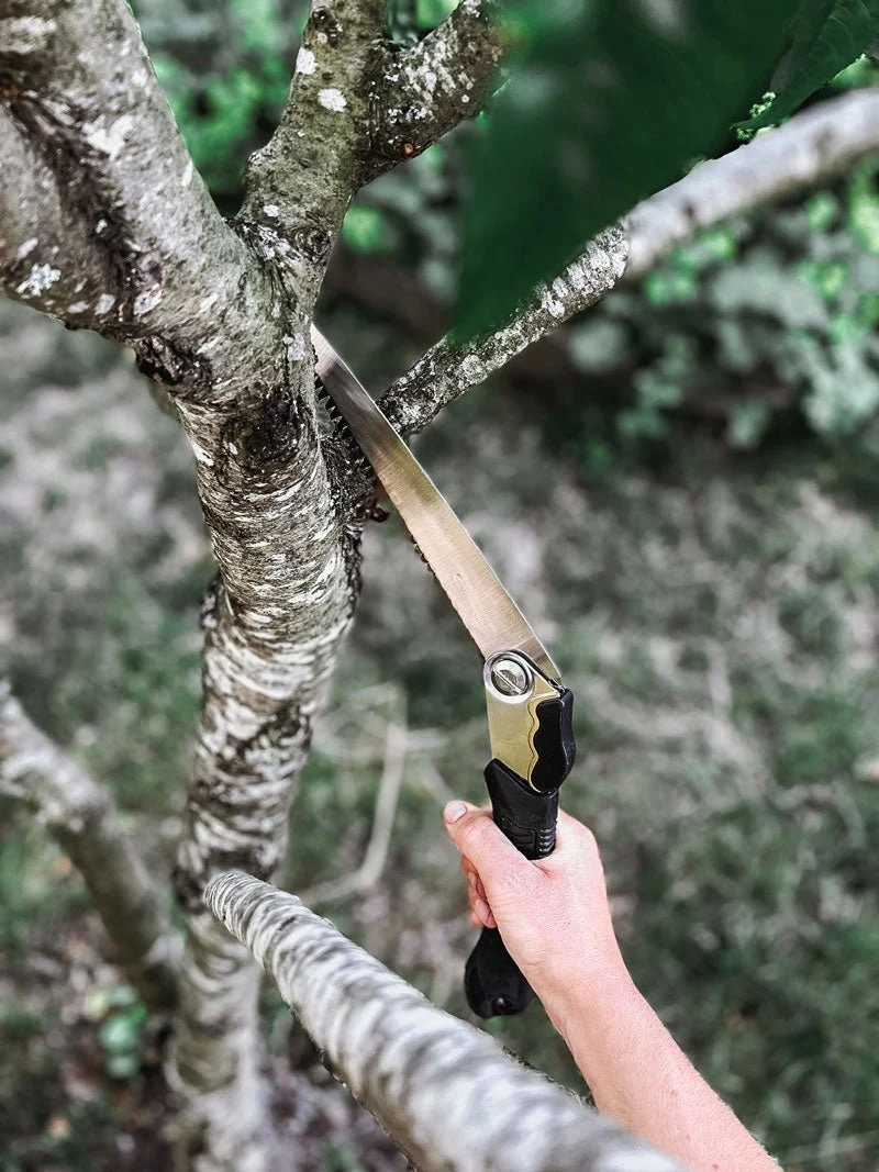 Pruning Set Deluxe