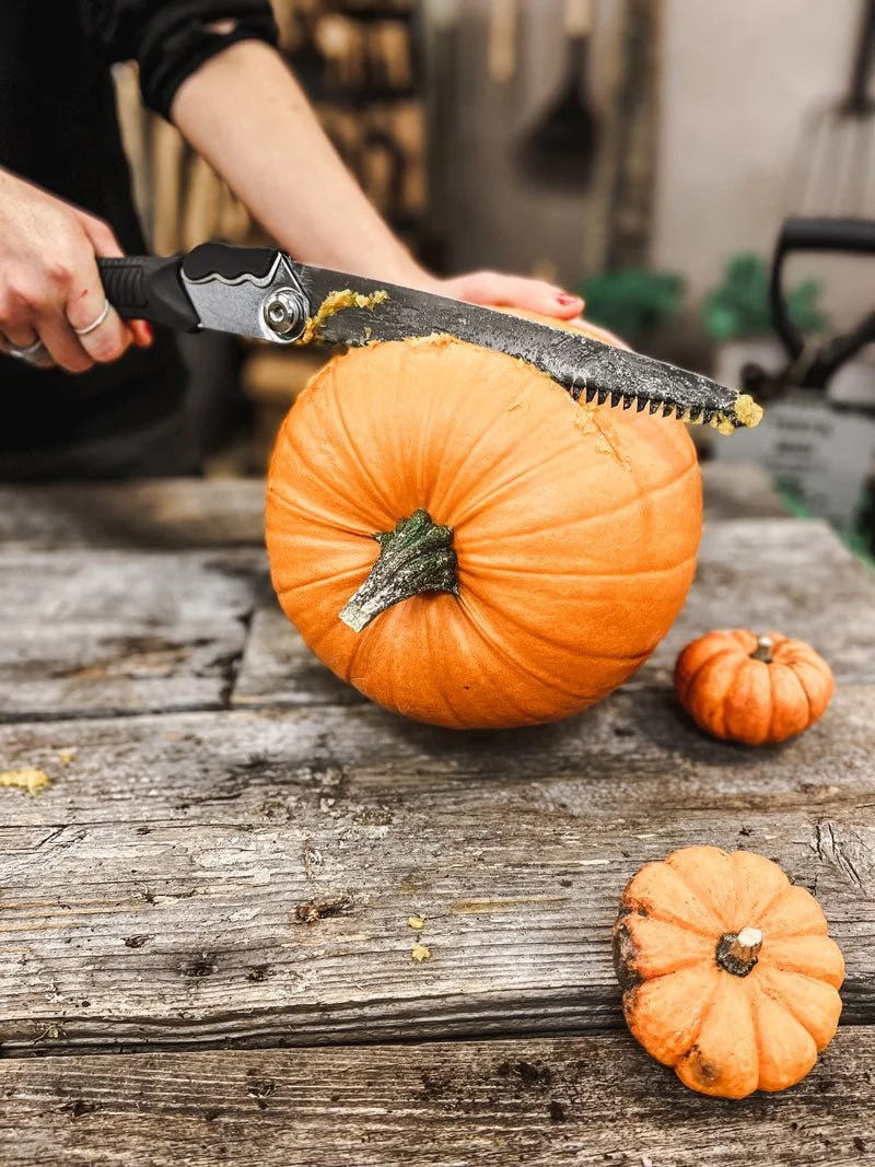 Pruning Saw Premium - 2nd Sorting