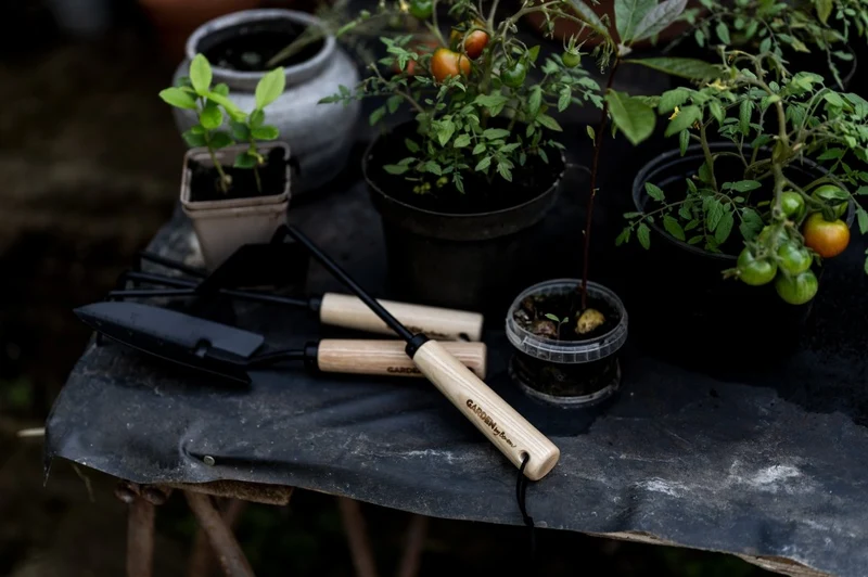 Garden hand tool - Set - 2nd Sorting