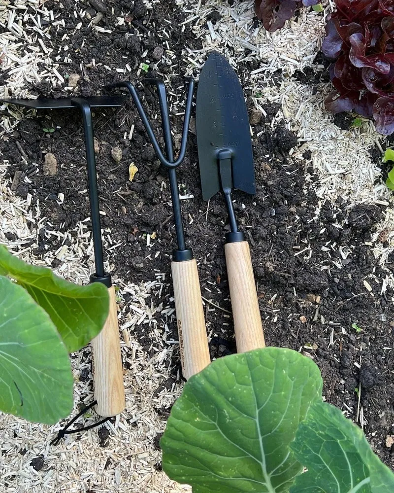 Garden hand tool - Set - 2nd Sorting
