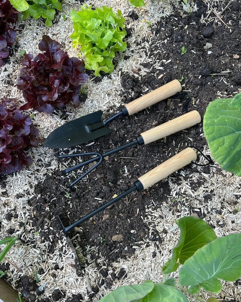Garden hand tool - Set - 2nd Sorting