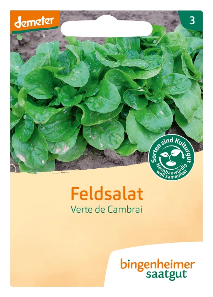 BIO Saatgut Feldsalat Verte de Cambrai