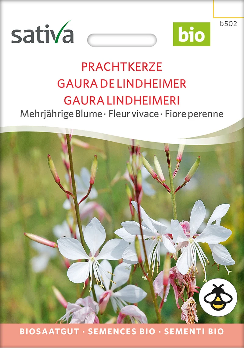 BIO Saatgut Prachtkerze