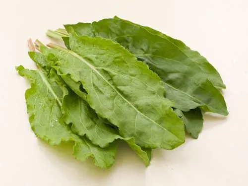 Saatgut-Set Kräuterbeet Grüne Soße