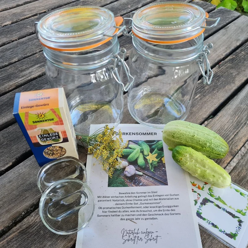 Ernte-Set „Gurkensommer“