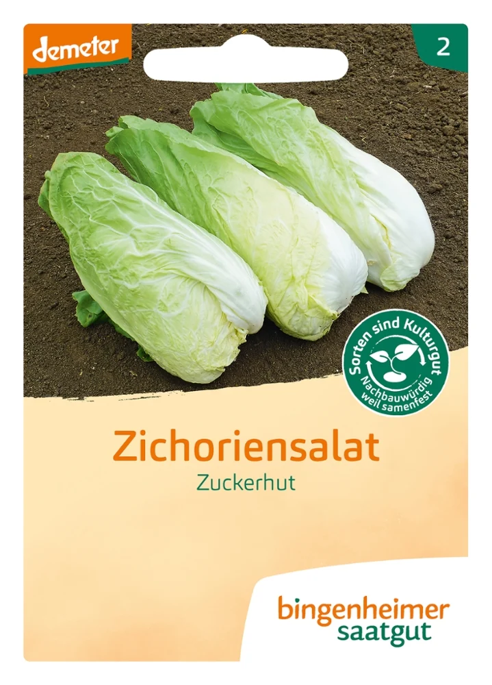 Saatgut-Set Gemüsebeet – Herbst- und Winterernte