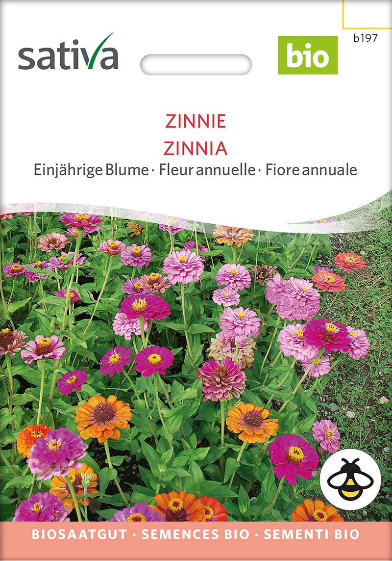 BIO Saatgut Zinnie