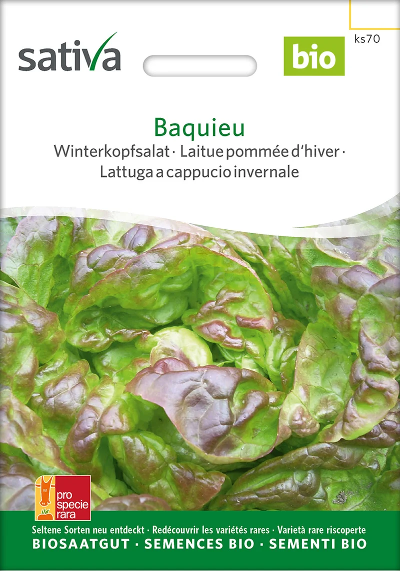 BIO Saatgut Winterkopfsalat Baquieu