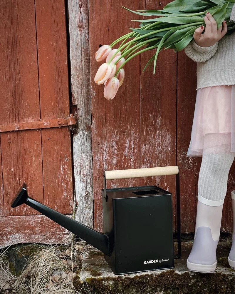 Watering Can Premium