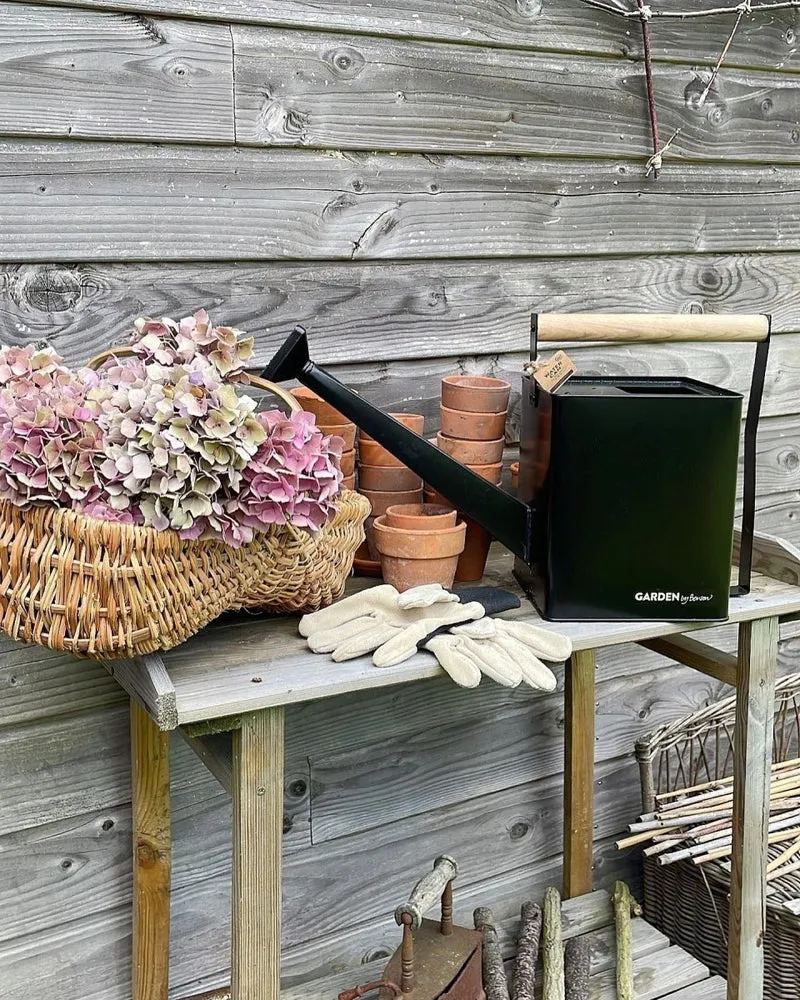 Watering Can Premium