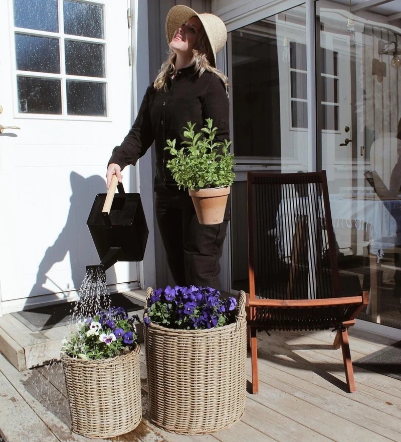 Watering Can Premium