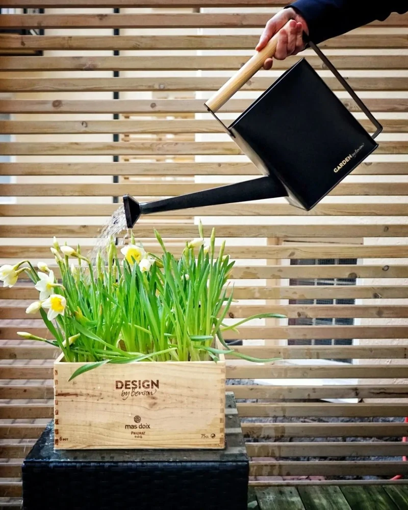 Watering Can Premium