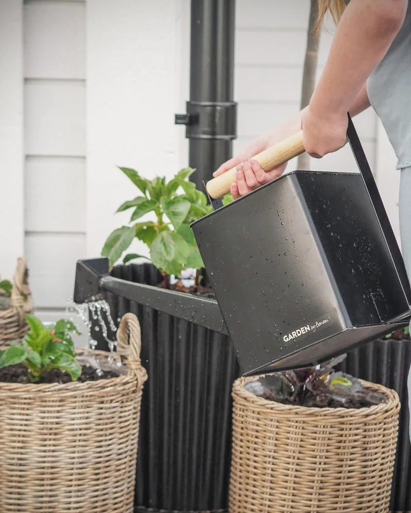 Watering Can Premium