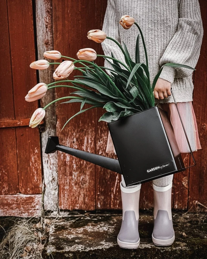 Watering Can Premium