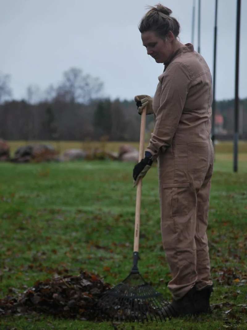 Leaf Rake Deluxe