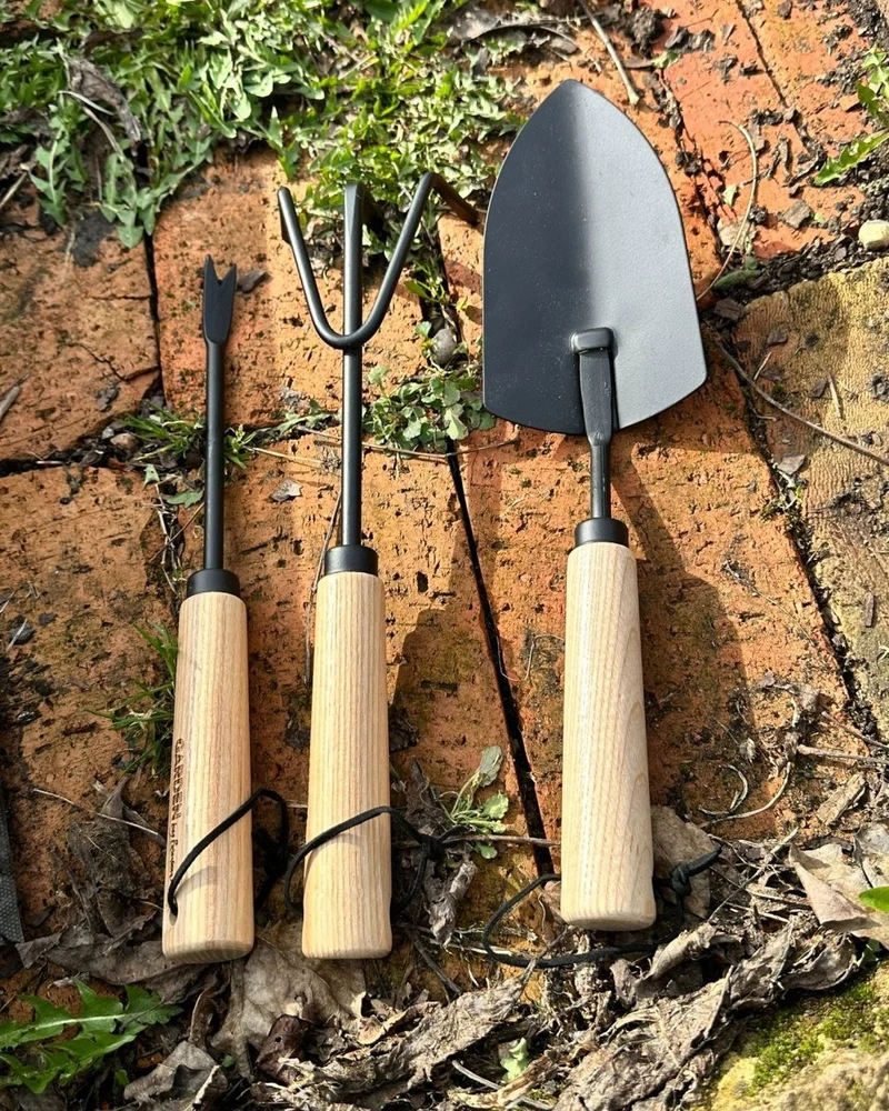 Hand tool Weeder