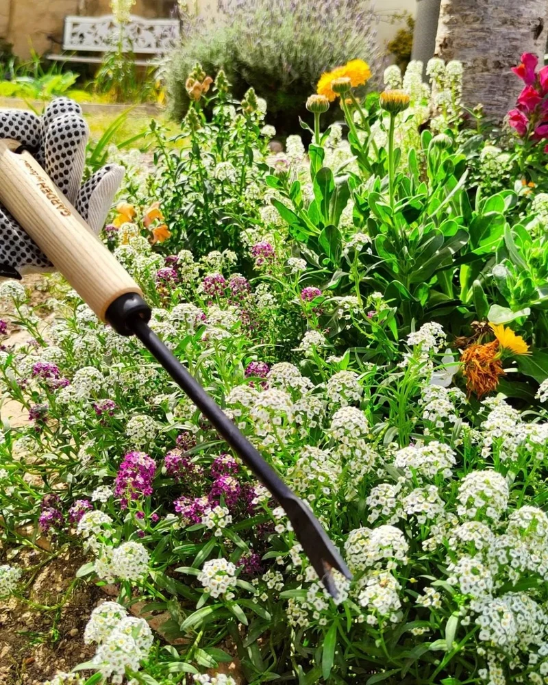 Hand tool Weeder