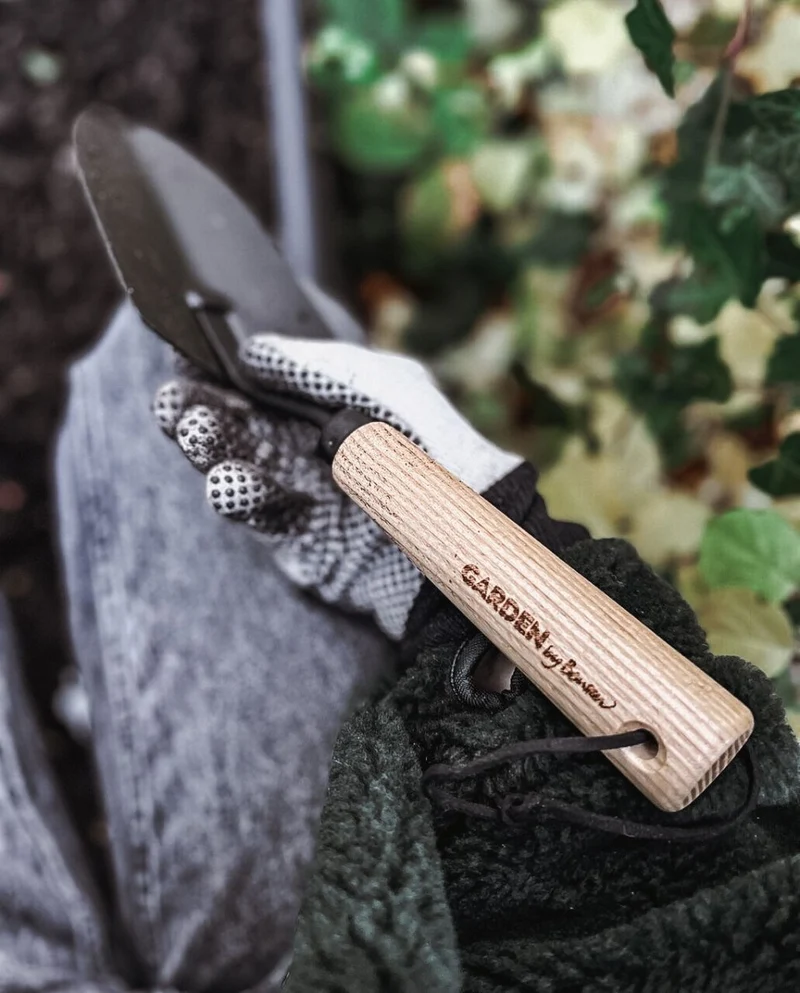 Hand tool Spade Planting