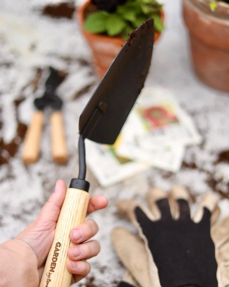 Hand tool Spade Planting