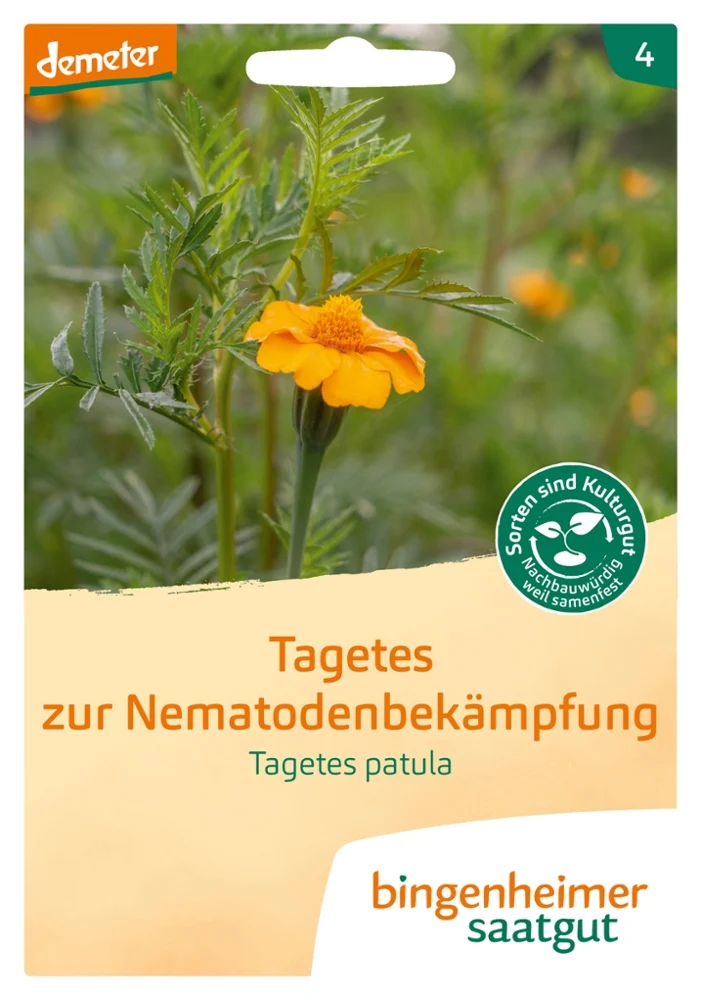 BIO Saatgut Gründüngung Tagetes