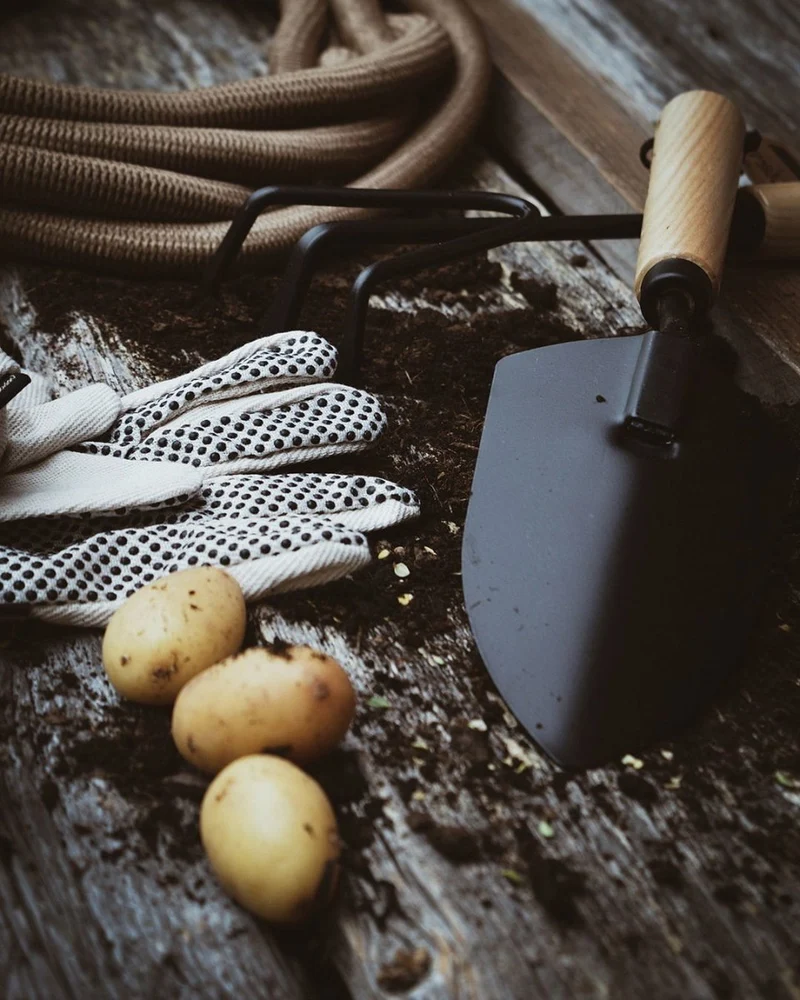 Garden Gloves - Basic