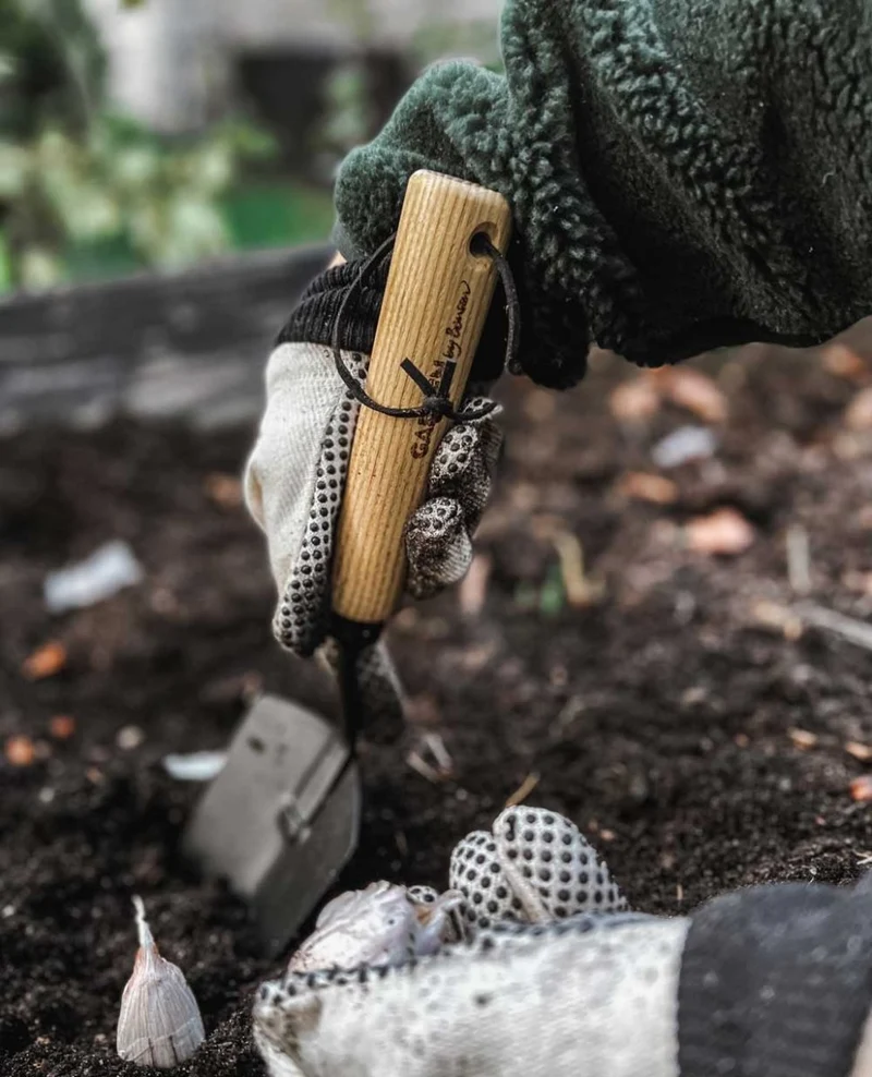 Garden Gloves - Basic