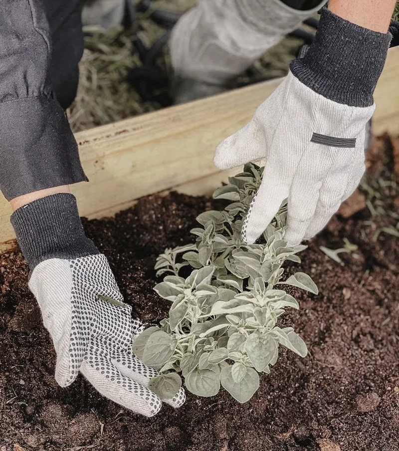 Garden Gloves - Basic
