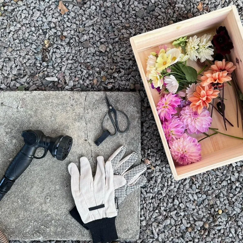 Garden Gloves - Basic