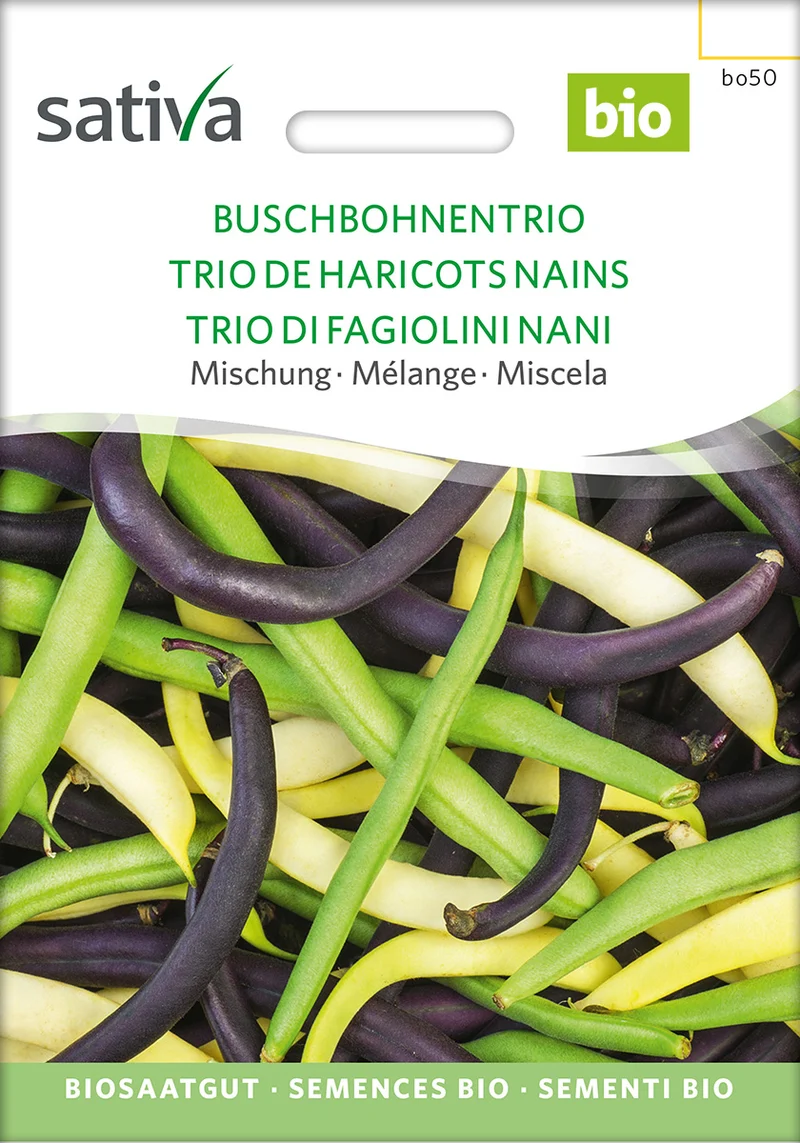 BIO Saatgut Buschbohnentrio