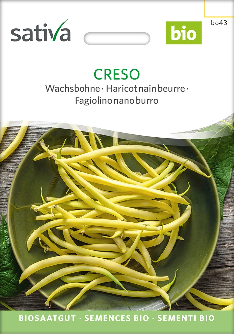 BIO Saatgut Wachsbohne Creso