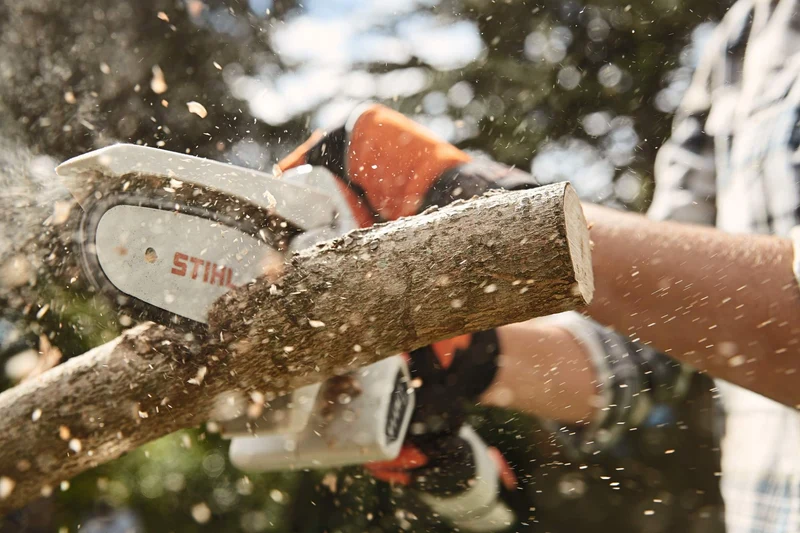 STIHL Akku-Gehölzschneider GTA 20 Set mit Akku AS 2 und Ladegerät ALS 31