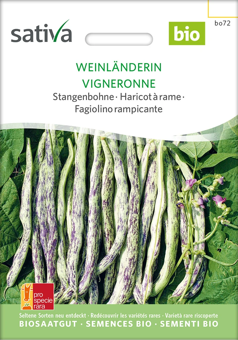 BIO Saatgut Stangenbohne Weinländerin