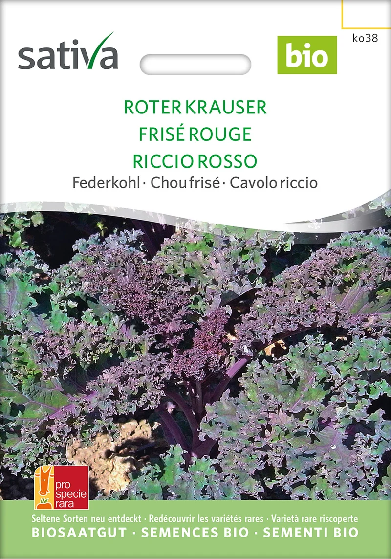 BIO Saatgut Grünkohl Roter Krauser