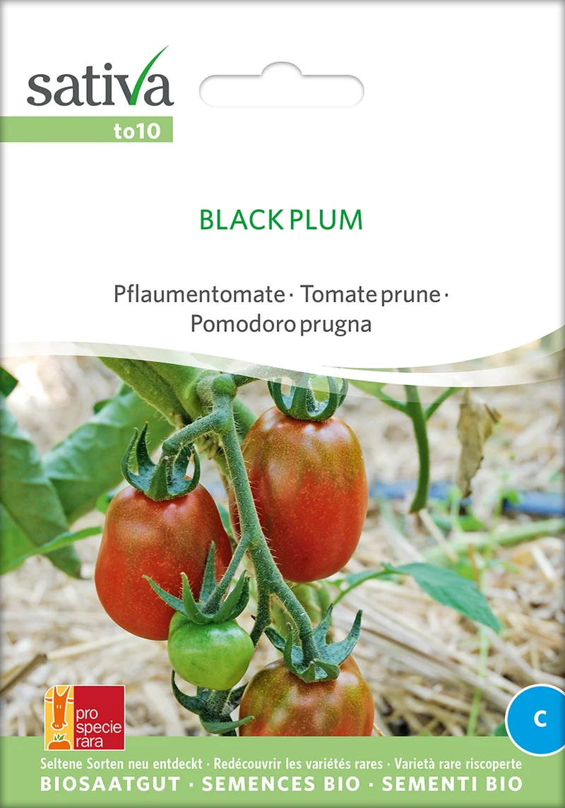 BIO Saatgut Pflaumentomate black plum