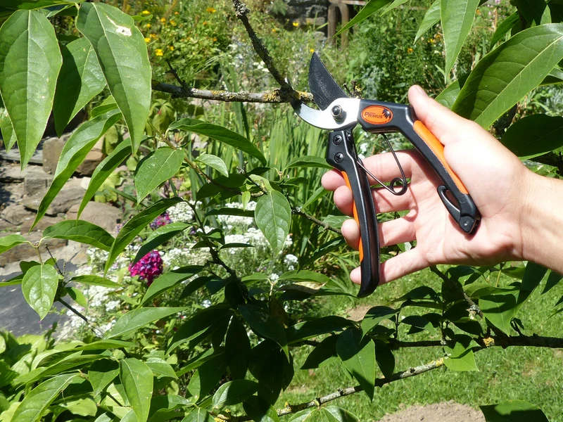 Primus Gartenschere Herrenschere