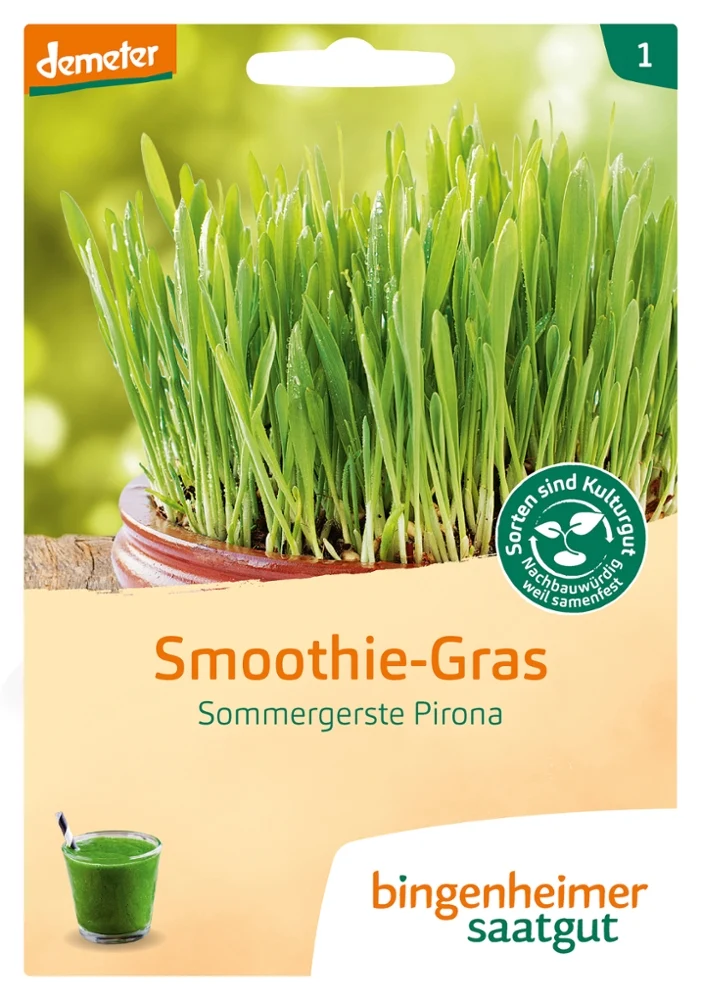 BIO Saatgut Smoothie-Gras Sommergerste Pirona