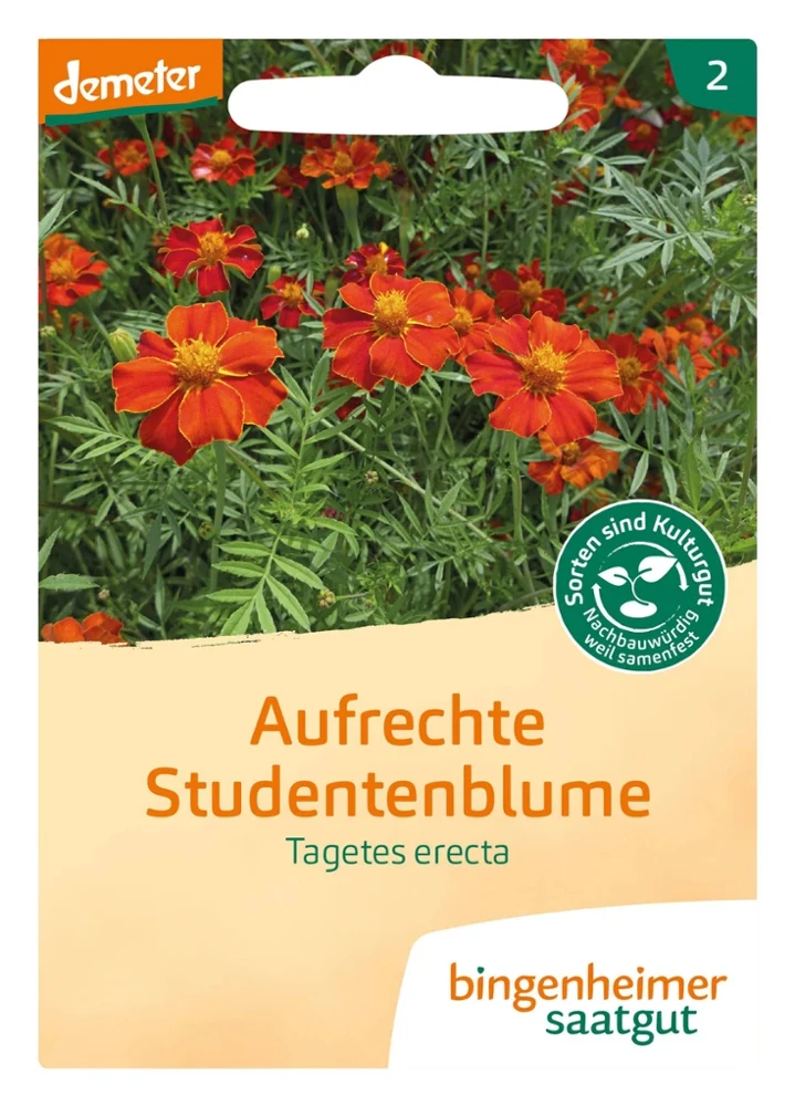 BIO Saatgut Hohe Polsterstudentenblume
