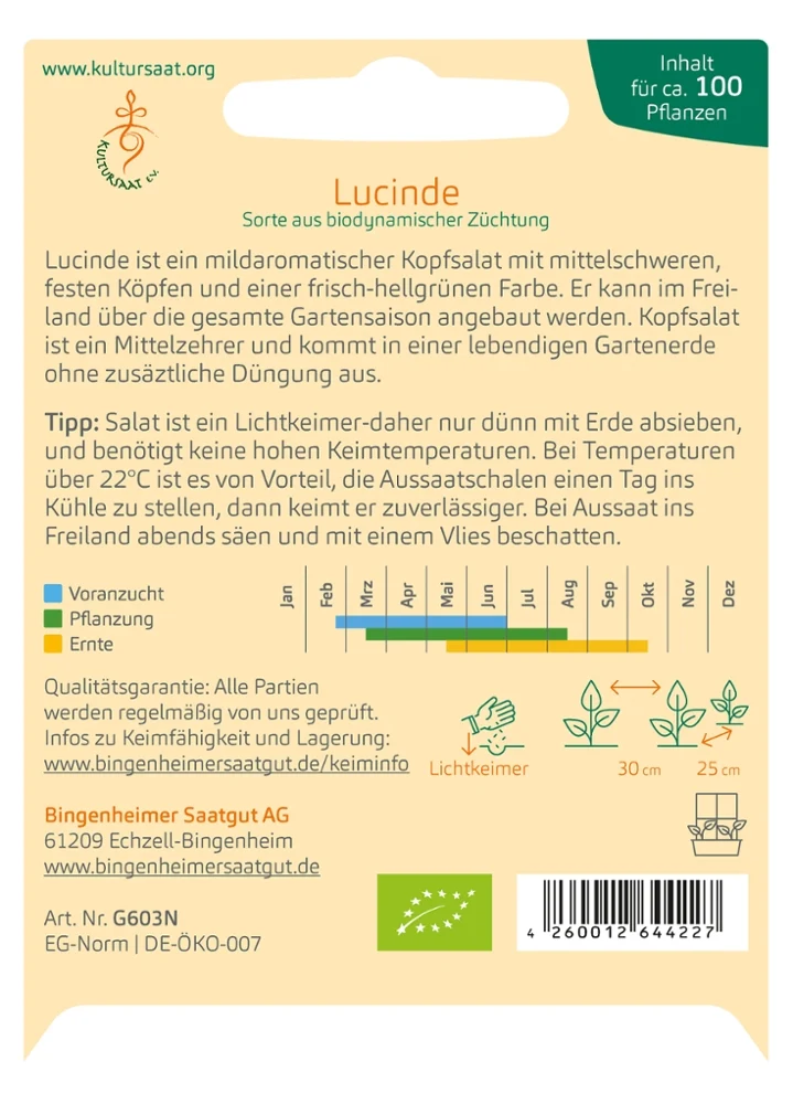 BIO Saatgut Kopfsalat Lucinde