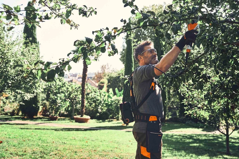 STIHL Akku-Astschere ASA 140 Set mit Akku AP 30