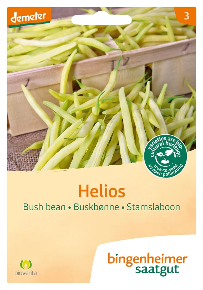 BIO Saatgut Buschbohne Helios