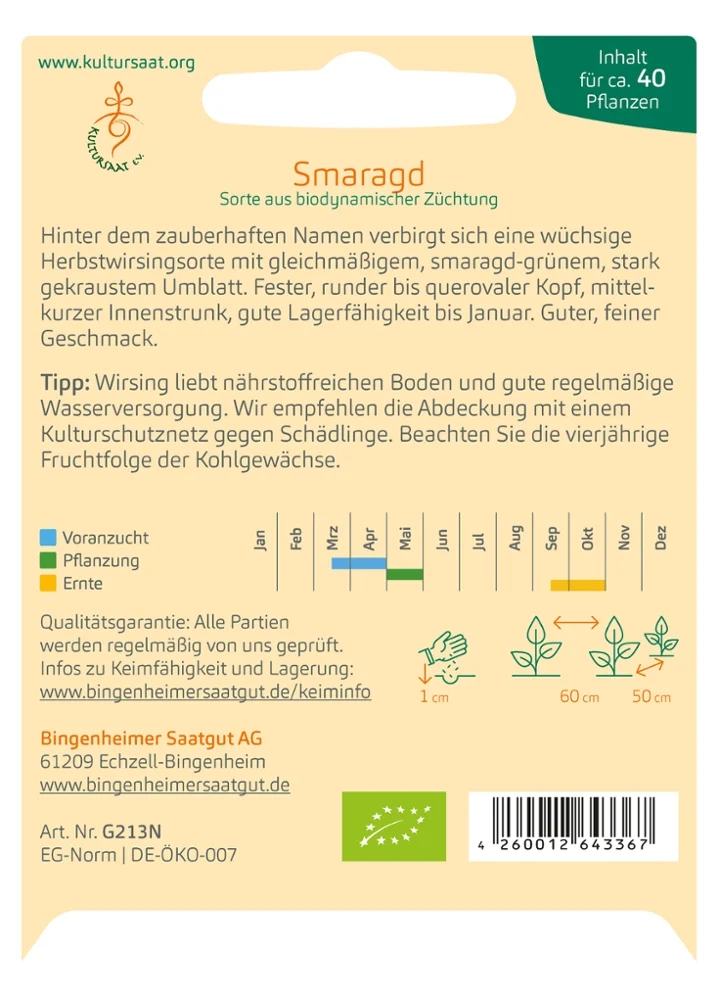 BIO Saatgut Wirsingkohl Smaragd