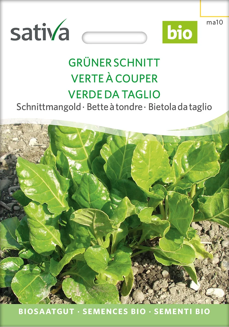BIO Saatgut Schnittmangold Grüner Schnitt